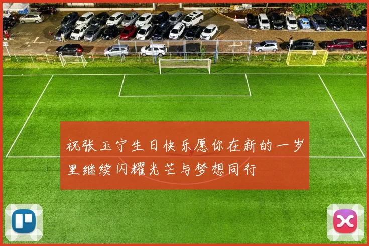 祝张玉宁生日快乐愿你在新的一岁里继续闪耀光芒与梦想同行