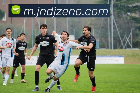 普利西奇有望复出对阵帕尔马拉比奥特伤情待评估